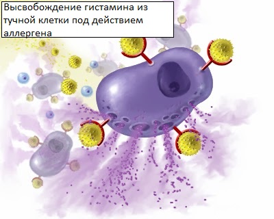 Крапивница первые признаки